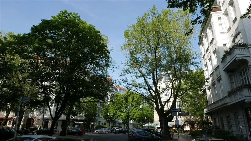 Stilvoll am Meyerinckplatz wohnen ! — photo 1